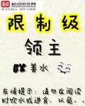 《限制级领主》封面