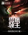 《雪鹰领主》封面