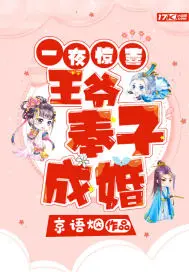 《一夜惊喜，王爷奉子成婚》封面