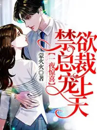 《一夜惊喜，禁爱总裁宠上天》封面