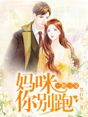 《一胎三宝：妈咪你别跑》封面
