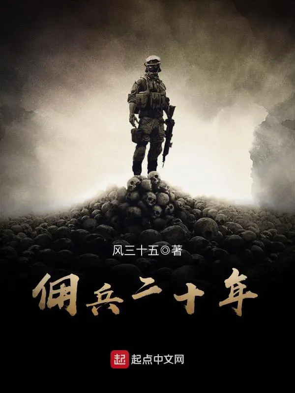 《佣兵二十年》封面