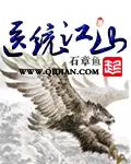 《医统江山》封面