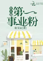 《娱乐圈第一事业粉》封面