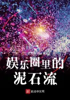《娱乐圈里的泥石流》封面