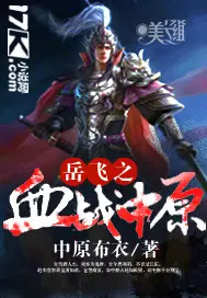 《岳飞之血战中原》封面