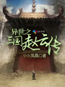 《异世之三国赵云传》封面