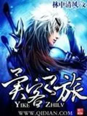 《异客之旅》封面