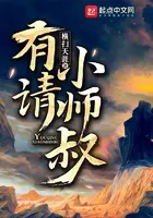 《有请小师叔》封面