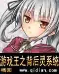《游戏王之背后灵系统》封面
