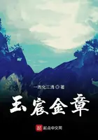 《玉宸金章》封面