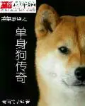 《英雄联盟之单身狗传奇》封面