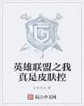 《英雄联盟之我真是皮肤控》封面