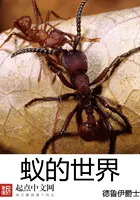《蚁的世界》封面