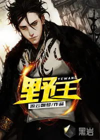 《野王》封面