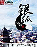 《银狐》封面