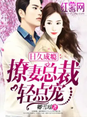 《隐婚娇妻太迷人》封面