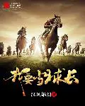 《主宰江山》封面