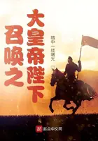 《召唤之大皇帝陛下》封面