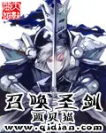 《召唤圣剑》封面