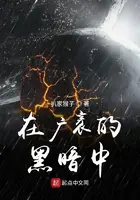 《在广袤的黑暗中》封面