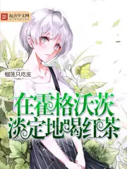 《在霍格沃茨淡定地喝红茶》封面