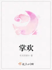 《掌欢》封面