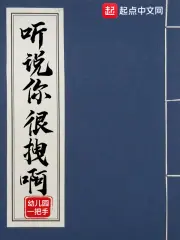 《掌门低调点》封面
