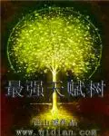 《最强天赋树》封面