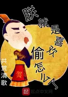 《朕就是喜欢偷怎么了》封面