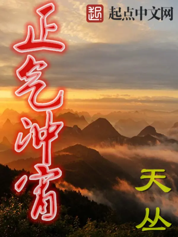 《正气冲宵》封面