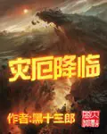 《灾厄降临》封面