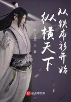《纵横天下从铁布衫开始》封面