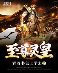 《至尊灵皇》封面