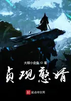 《贞观憨婿》封面