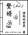 《赘婿》封面