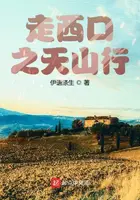 《走西口之天山行》封面