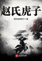 《赵氏虎子》封面