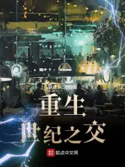 《重生世纪之交》封面