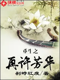 《重生之再许芳华》封面