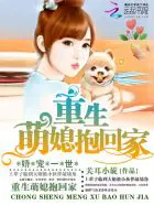 《重生九零掌上宝》封面