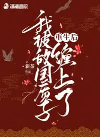 《重生后我被敌国质子缠上了》封面