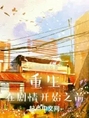 《重生在剧情开始之前》封面