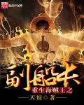 《重生海贼王之副船长》封面
